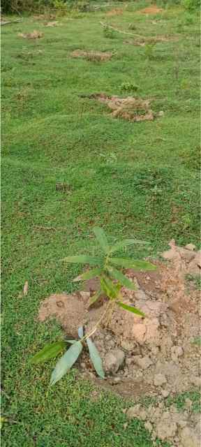 Training Program Image 31