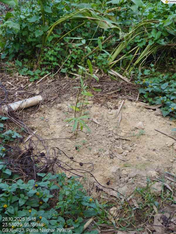 Training Program Image 34