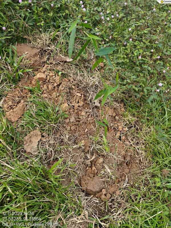 Training Program Image 38