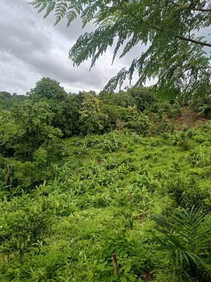 Training Program Image 52