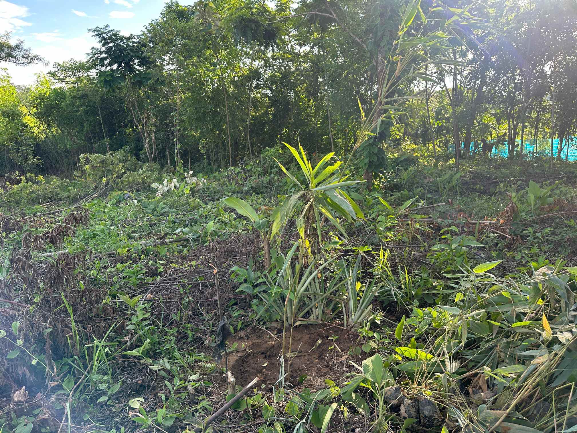 Training Program Image 8