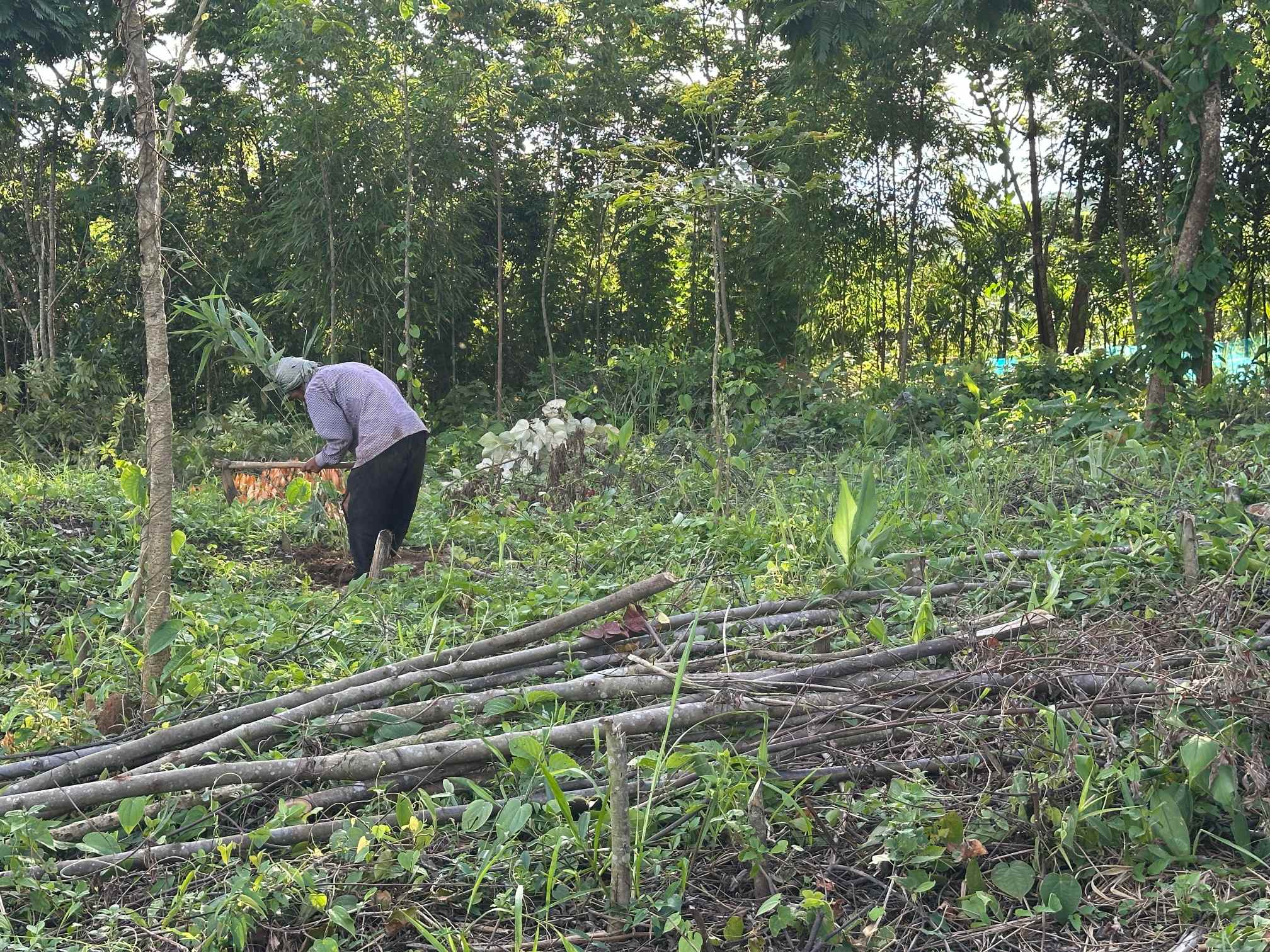 Training Program Image 9